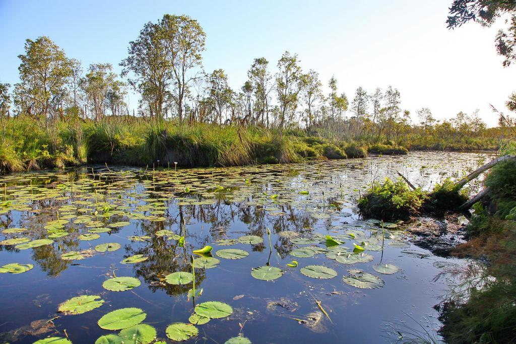 Bed and Breakfast Salamander Bay Bed&Breakfast Exterior foto